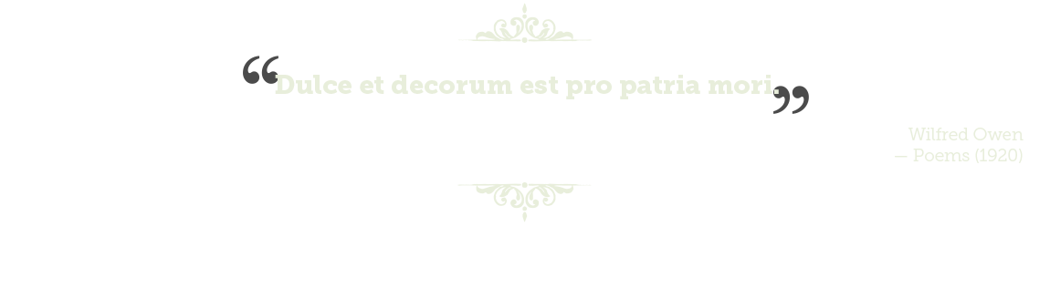 Vinaora Nivo Slider 3.x